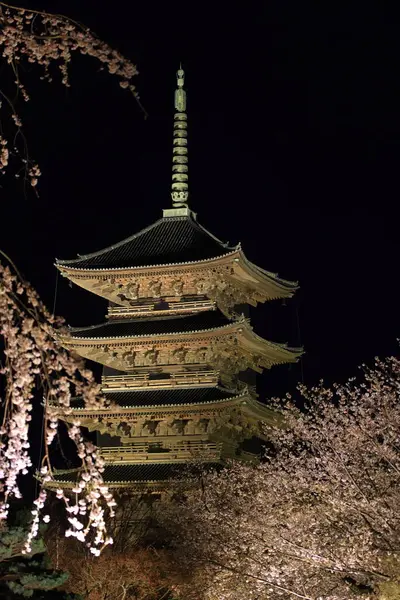 Kiraz çiçekleri olan Toji Tapınağı, Kujocho, Minami, Kyoto, Japonya 'da 5 katlı ahşap bir tapınağı olan tarihi Budist tapınağı.