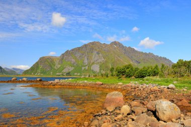 Norveç 'in Lofoten adalarındaki Lyngvr' de manzara