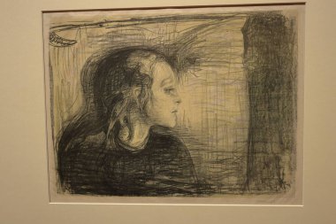 Munch Müzesi 'ndeki sanat eserleri (Munch Müzesi), Munch Sanatları ve Norveç' teki diğer sergiler