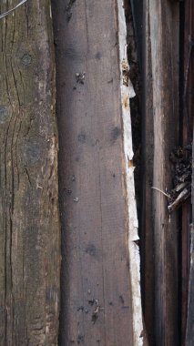 Doğal desenli eski ahşap doku.