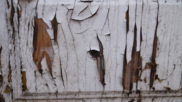 Old Wooden Background Peeling Paint — Stock Photo, Image