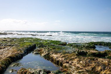 San Diego California Sahili 'nde dalgalı havuzu olan Rocky Sahil Kıyısı.