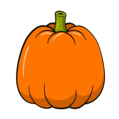 Balkabağım. Cadılar Bayramı süsü. Vektör illüstrasyonu