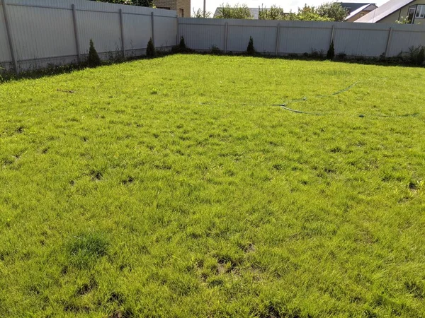 Poor Quality Patchy Lawn — Stock Photo, Image