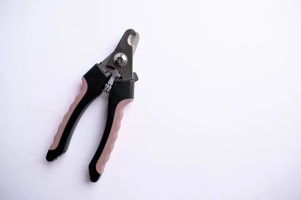 Ножницы Изолированные Белом Фоне — стоковое фото
