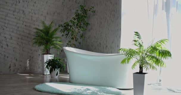 Современная Дизайнерская Ванная Комната Отдельной Ванной Домашними Растениями Вид Спереди — стоковое видео