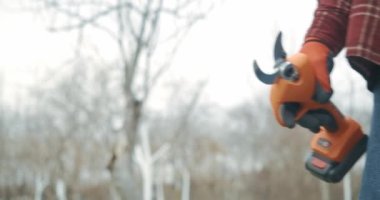 Ekose gömlekli, kot pantolonlu, elinde kuru erik tutan bir bahçıvan. Turuncu ve siyah eldivenli bir erkek meyve bahçesinde çalışıyor, ağaç dallarını kesip buduyor. Bitki yetiştirme kavramı.