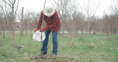Bahçedeki panama şapkalı bahçıvanın meyve sulama ağacının önü. Ekose gömlek ve kot pantolon giyen köylü bahar / tarım ve el işi kavramında bitkilerle ilgileniyor.