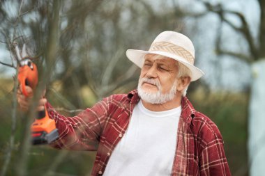 Bahçedeki bitkilerle ilgilenen bahçıvanın ön görüntüsü. Panama şapkalı yaşlı bir köylü, elinde budama makinesi, dal kesiyor. Bitkilerin ve bahçelerin büyümesi kavramı.