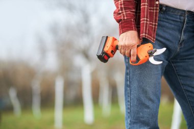 Elinde kuru erikle yürüyen bahçıvanın yakın çekimi. Kot pantolon giyen, meyve bahçesinde çalışan baharda bitkilerle ilgilenen, çamaşır yıkayan, kesen bir erkek. El işi kavramı.