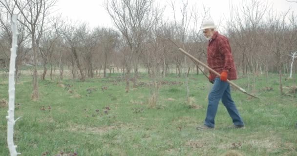 Vue Latérale Jardinier Marchant Tenant Les Semis Vieux Mâle Aux — Video