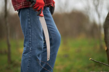 Elinde testereyle kot pantolon giyen bahçıvana yaklaş. Ekose gömlekli köylü elinde bıçakla, meyve bahçesinde çalışıyor, ağaç dalları kesiyor. Tarım kavramı.