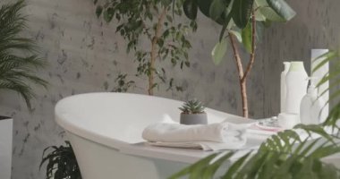 Gri arka planda banyo için farklı eşyalar. Beyaz pamuk havlunun yan görünüşü, banyo tepsisindeki sulu bitkilerle birlikte güzellik aksesuarları, yavaş çekimde. Sağlık konsepti, spa, rahatla.