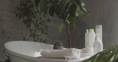 Rahat bir küvet, spa ürünleri ve kozmetik ürünleri. Etrafı bitkilerle çevrili banyo tepsisine yerleştirilmiş çeşitli kozmetik ürünlere ve havlulara yakından bakın. Spa kavramı, rahatla..