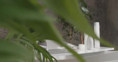 Banyo derisi ve vücut bakımı malzemeleri beyaz tepside, yeşil bitkilerle çevrili. Beyaz pamuk havlunun önü, sağlık ve kaplıca için tezgah masasında şampuan şişeleri. Cilt bakımı, kaplıca, reklam.