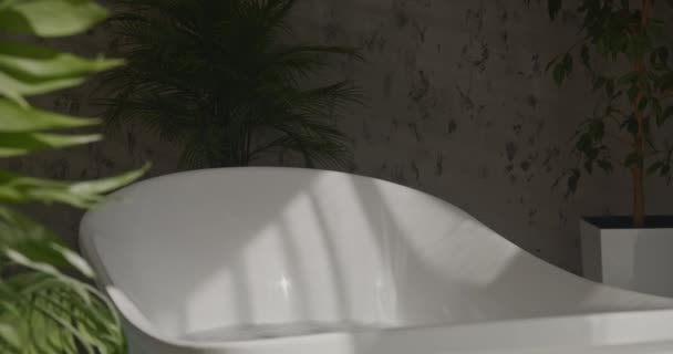 Biała Błyszcząca Kąpiel Roślinami Domowymi Hotelu Spa Zamknij Hotelową Wannę — Wideo stockowe