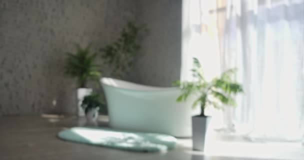 Large Cozy Master Bathroom Freestanding Bathtub Palm Trees Spacious Modern — Stock Video