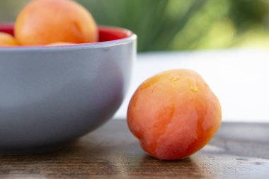 Islak, yıkanmış portakal erikleri, kayısılar tahta tahtanın üzerinde ve yazın açık havada kasenin içinde. Yaz kavramı.