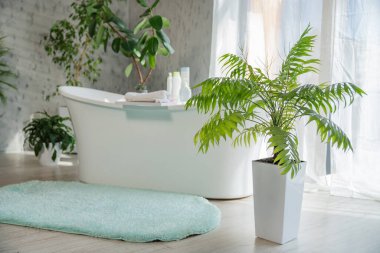 Tropikal bahçe dekorasyonu ve güneşli pencereli modern lüks banyo. Geniş gri banyo manzaralı, serbest banyo küveti ve yerde kabarık halı, kopyalama alanı. Tasarım, iç konsept.