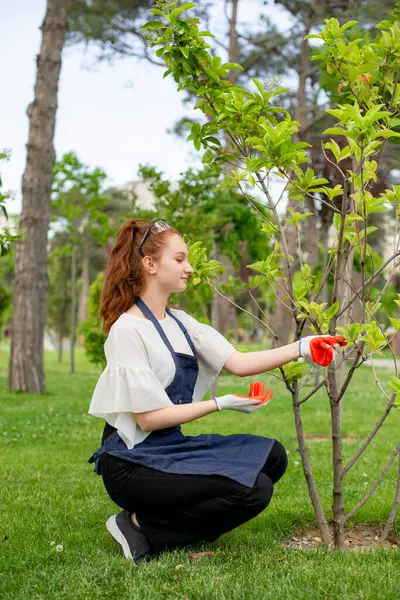 Vista Lateral Chica Con Pelo Rojo Trabajando Jardín Tocando Arbustos Fotos De Stock Sin Royalties Gratis