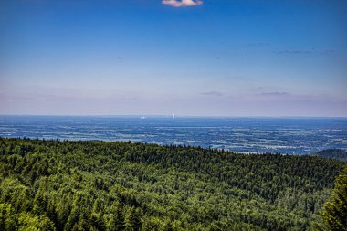 Ormanın ve nehrin güzel manzarası