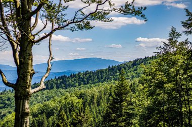 Arka planda dağ sırası olan güzel bir manzara.