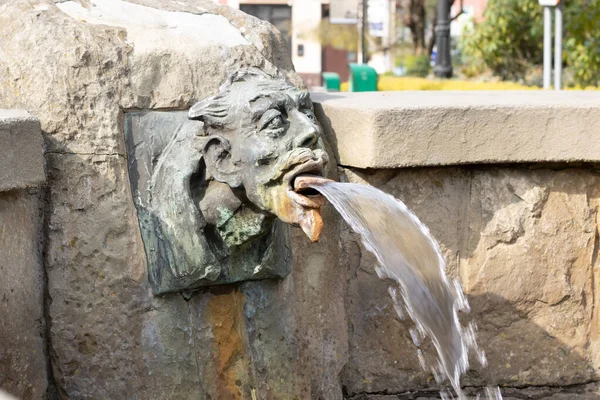 公園のライオンの彫刻は — ストック写真