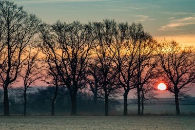 Hollanda 'da bir parkta güzel bir kış gündoğumu