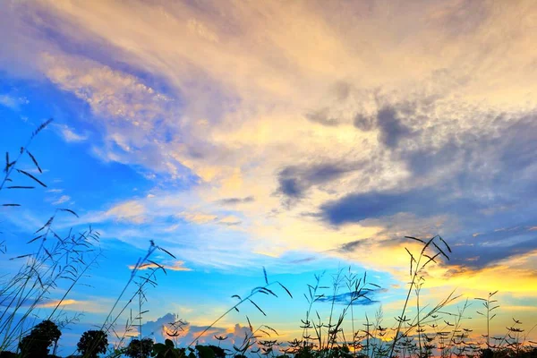 Вечернее Изображение Заката Северном Таиланде Красивым Золотым Светом Помогает Нам — стоковое фото