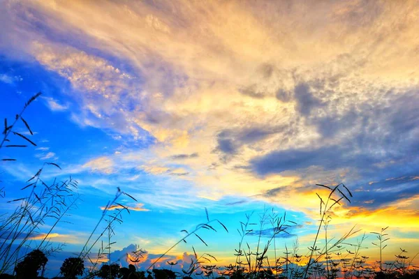 Norra Thailand Kväll Solnedgång Bakgrundsbild Med Vackert Gyllene Ljus Hjälper — Stockfoto