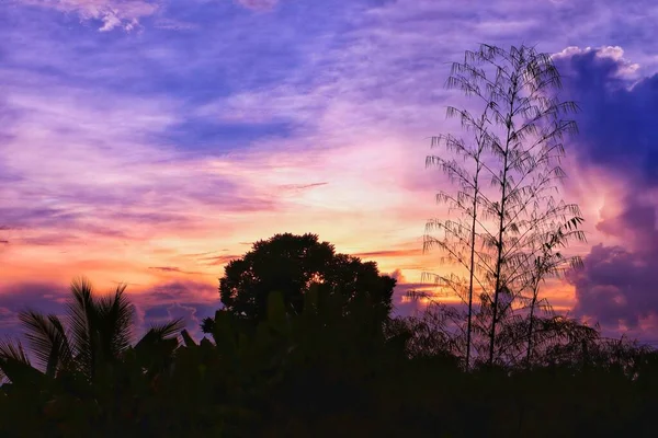 Noord Thailand Avond Zonsondergang Achtergrond Beeld Met Mooie Gouden Licht — Stockfoto
