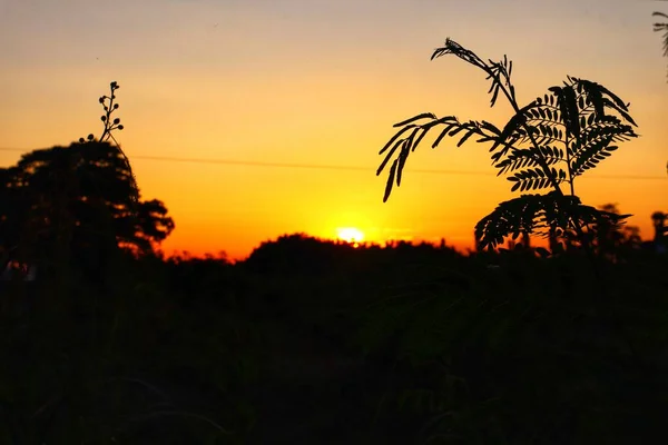 Norra Thailand Kväll Solnedgång Bakgrundsbild Med Vackert Gyllene Ljus Hjälper — Stockfoto