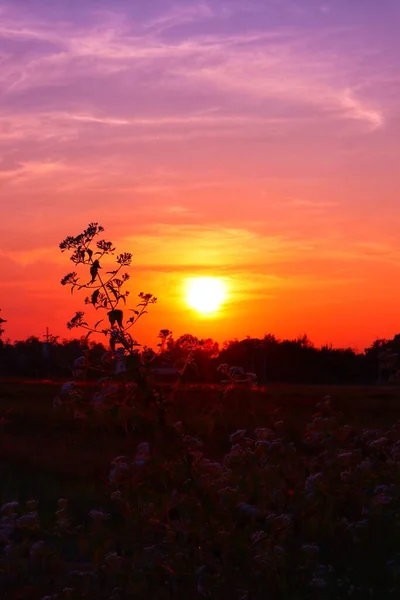 Північний Таїланд Вечірній Захід Сонця Прекрасним Золотим Світлом Допомагає Нам — стокове фото