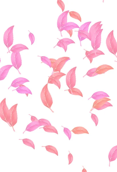 Einfaches Und Abstraktes Florales Hintergrundbild Für Ihre Produktplatzierung Umschlag Des — Stockfoto