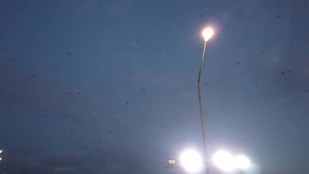 黄昏时分一群蝙蝠在天空中难以置信地飞翔 — 图库视频影像