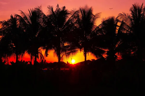 Північний Таїланд Вечірній Захід Сонця Прекрасним Золотим Світлом Допомагає Нам — стокове фото