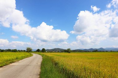 Kuzey Tayland 'ın güzel panoramik doğal manzarası çeşitli reklam ortamlarınızda kullanmak için.