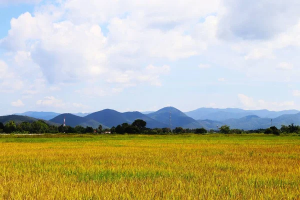 Północna Tajlandia Piękna Panoramiczna Krajobraz Naturalny Tło Użytku Różnych Mediach — Zdjęcie stockowe