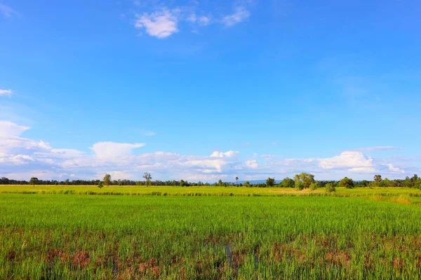 Kuzey Tayland 'ın güzel panoramik doğal manzarası çeşitli reklam ortamlarınızda kullanmak için.