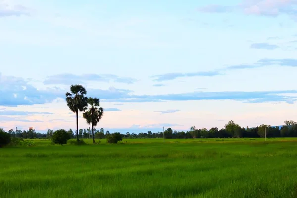 Thailanda Nord Frumos Peisaj Natural Panoramic Fundal Pentru Utilizarea Diverse — Fotografie, imagine de stoc