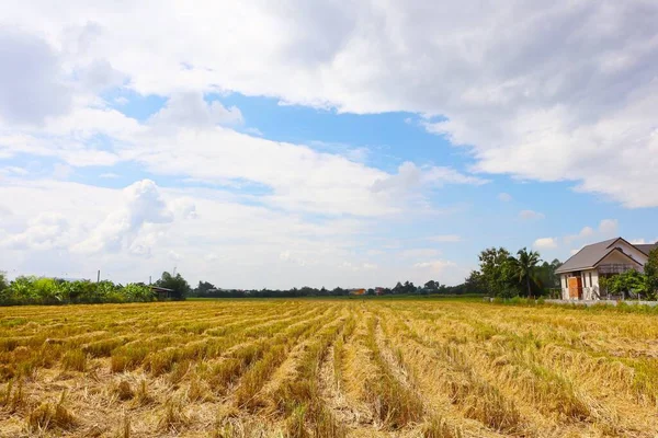 stock image Northern Thailand beautiful panoramic natural scenery background for use in your various advertising media.