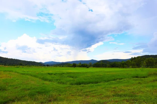 Kuzey Tayland 'ın güzel panoramik doğal manzarası çeşitli reklam ortamlarınızda kullanmak için.
