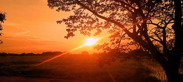 Güzel ışık rahatlatıcı akşam günbatımı atmosfer arkaplan resmi.
