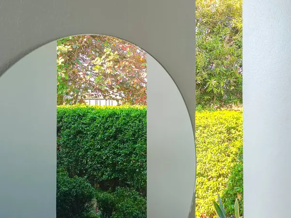 Alternatif aynalar ve çalı arkaplan olan bir duvarın minimalist bir fotoğrafı görüntüye eşsiz ve güzel bir görünüm verir..