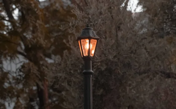Старая Желтая Уличная Лампа Фоне Осенних Деревьев Винтажные Лампы — стоковое фото