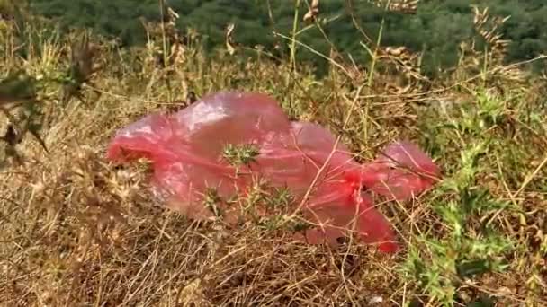 草の中には赤いセロハンの袋が閉じ込められています 人間の過失による環境汚染 — ストック動画