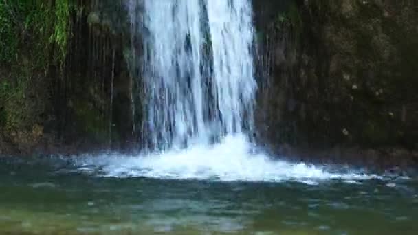 Красивий Водоспад Зеленому Лісі Вид Зверху Тропічний Гірських Джунглях Водоспад — стокове відео