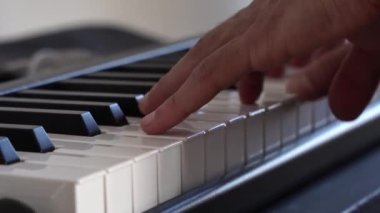 Bir konserde müzik eşliğinde iki eliyle bir melodi çalan parmaklar ve aniis 'lerin yakın çekimi..