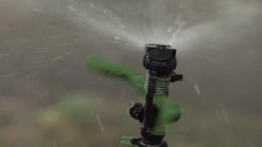 Yeşillik ve tarlaların suni sulama için yakın çekim cihazı. Bitkilerin yapay sulaması. Sulama aygıtı.