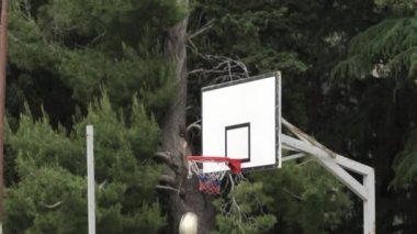 Orta sahadaki insanlar yazın bir basketbol sahasında ağaçların arkasına basketbol potası fırlatırlar..